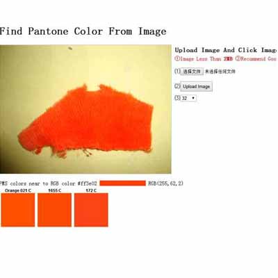 find pantone color from images